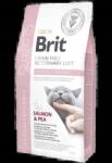 Brit Grain Free Veterinary Diet Cat Hypoallergenic Lazac Borsóval 2kg (8595602528370)