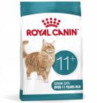 Royal Canin Ageing 11+ szárazeledel 4kg érett macskáknak 11 éves kortól (ROYAL CANIN Sucha karma dla kota)