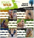 Ars Una Máté Bence Icons of the Wild csomagolt füzetcímke (3x6 db) (53834928)