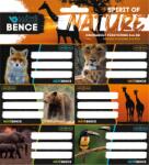 Ars Una Máté Bence Spirit of Nature csomagolt füzetcímke (3x6 db) (53834225)