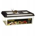 Exo-Terra Exo terra Faunarium nagy Large lapos 46, 5 x 30, 5 x 18cm EX-3102 (015561223102)