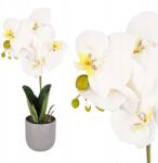 Jumi Mesterséges virágok, Mint Élő dekoráció Orchidea Virág cserépben Orchidea (KW-321540)