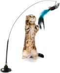 Dexxer Rúd macskáknak madárral (CAT-OY01)
