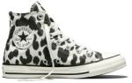 Converse Tenisi unisex Converse Chuck Taylor All Star A17919C (A17919C)