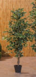 AdTrend Eucalipt artificial in ghiveci 16 x 120 cm (60269)