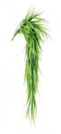 Bizzotto Planta artificiala verde 91 cm (0171914X)