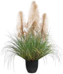 AdTrend Pampas artificial in ghiveci 22 x 122 cm (101087)