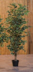 AdTrend Eucalipt artificial in ghiveci 20 x 150 cm (60270)