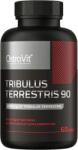 OstroVit Tribulus Terrestris 90, 60 capsule, OstroVit - drmax