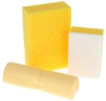 Protecton Olanda Set curatare si spalare auto Protecton, 3 piese pentru masina (1750109)
