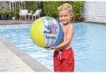 Character Character Inflatable Beach Ball - Stitch