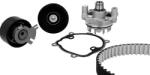 METELLI Set pompa apa + curea dintata METELLI 30-0803-1 (30-0803-1)