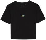 4F Тениска с щампа 4F 4F Print Logo Tee Ld61 - Black