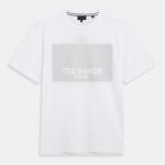 Ted Baker Ted Baker SS Box Graphic Logo Tee - White