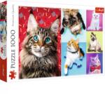 Trefl Pisicute fericite 1000 piese 10591 Puzzle
