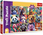 Trefl Portrete amuzante de animale 300 piese 23030 Puzzle