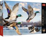 Trefl Rate salbatice in zbor 1000 piese 99278 Puzzle