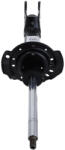 SACHS Amortizor fata SACHS 315 293