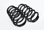 Asam Automotive SET 2BC Arc suspensie spate SARCINA UTILA MARITA (L 310mm D 16mm) ASAM 75074