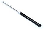 Asam Automotive Amortizor spate ASAM 70879