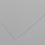 Canson Vivaldi 70x100 cm Light Grey 35 240 g Цветна хартия (C200040474)