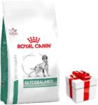 Royal Canin weterynaria ROYAL CANIN Glycobalance 12 kg + ingyenes meglepetés a kutyának