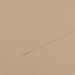 Canson Mi-Teintes 50x65 cm Gris Trianon 343 160 g Цветна хартия (C200321054)