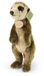 Rappa Suricată de pluș 31 cm ECO-FRIENDLY (RP260313)