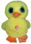  Rață gâgâitoare 14cm (K1382)