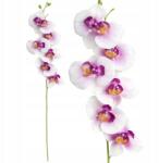 Przydasie. pl Orchidea Díszes Szár Ág XXL Művirág Nád Csokor 75CM (#12596)