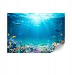  Flizelin fotótapéta standard 150 x 105 cm állatok (LUMASOUL)