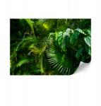  Flizelin fotótapéta standard 150 x 105 cm jungle natura (LUMASOUL)
