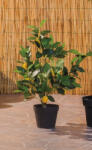 AdTrend Lamai artificial in ghiveci 16 x 60 cm (60260)