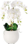 AdTrend Orhidee artificiala alba in ghiveci 25 x 72 cm (119405)