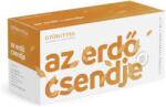 Györgytea Az Erdő Csendje Filteres Teakeverék 20x1 g - egeszsegbolt