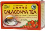 Dr. Chen Patika Galagonya teafilter 20 db