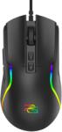 Proove CMAS00000101 Mouse