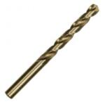 Makita SET 10 BURGHIE LUNGI HSS-G CYL 4X119 (P-62309-10) Burghiu