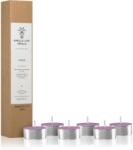 Smells Like Spells Norse Magic Mimir lumânare (relaxation/meditation) 6 buc