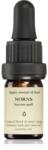 Smells Like Spells Essential Oil Blend Norns ulei esențial (Success spell) 5 ml