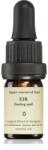 Smells Like Spells Essential Oil Blend Eir ulei esențial (Healing spell) 5 ml