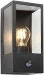 Endon Lighting klasszikus modern kültéri fali lámpa oxford pir matt fekete átlátszó end94995 IP44 (94995)