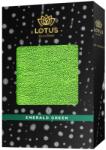 Lotus Cleaning Deluxe Wash Sponge Green (19000271)