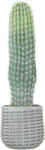 HOMCOM Cactus artificial 66 cm, plantă artificială decorativă cu ghiveci pentru decor interior, verde | Aosom Romania (83C-204V00GN)