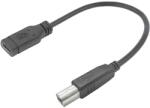 ACT USB Type-C femelă către USB-B 2.0 cablu adaptor pentru imprimantă 0.2m Negru AC7462 (AC7462)