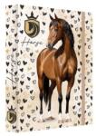 Junior Cutie pentru caiete A5 Jumbo MAX JUNIOR S9 - Cal