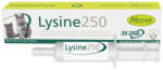 Mervue Laboratories Lysine 250 - Pasta pentru sustinerea imunitatii la pisici - 30 ml