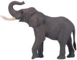 Mojo elefant african (DDMJ381005) Figurina