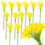 Przydasie. pl 12x Kália Gumi Művirág Élő Csokor Dekoráció 31CM 12DB (#12725)