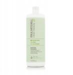 Paul Mitchell Clean Beauty Anti-Frizz sampon 1000 ml (1111096601701)